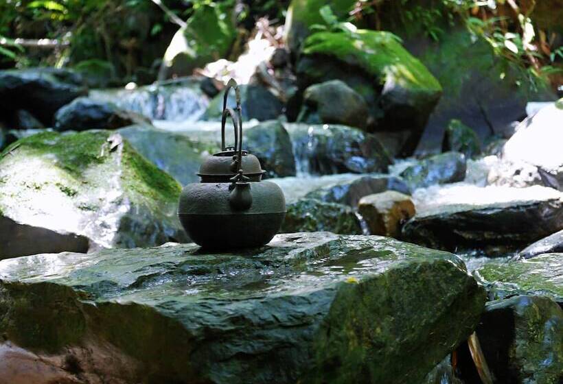 تختخواب و صبحانه Look Tea House