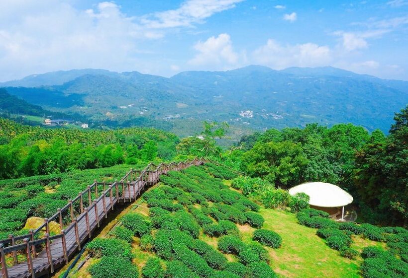 تختخواب و صبحانه Look Tea House