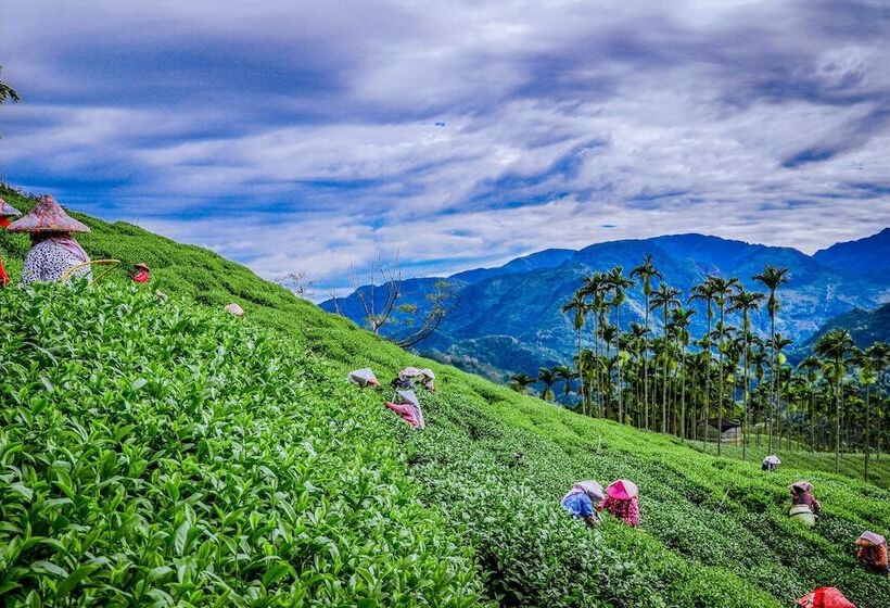 تختخواب و صبحانه Look Tea House