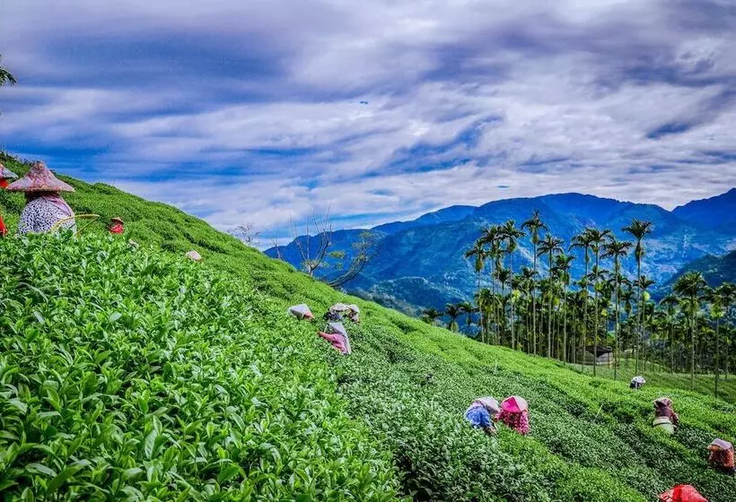 تختخواب و صبحانه Look Tea House