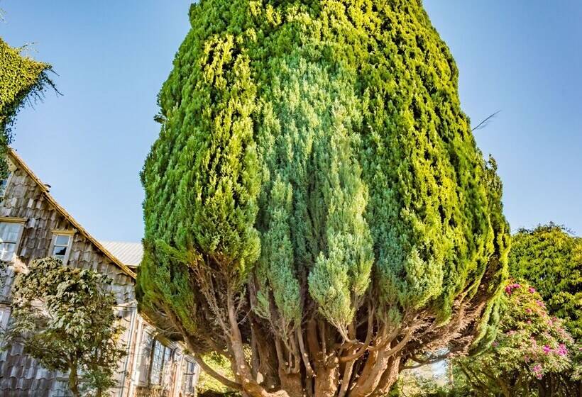 Хостел Casona Alemana