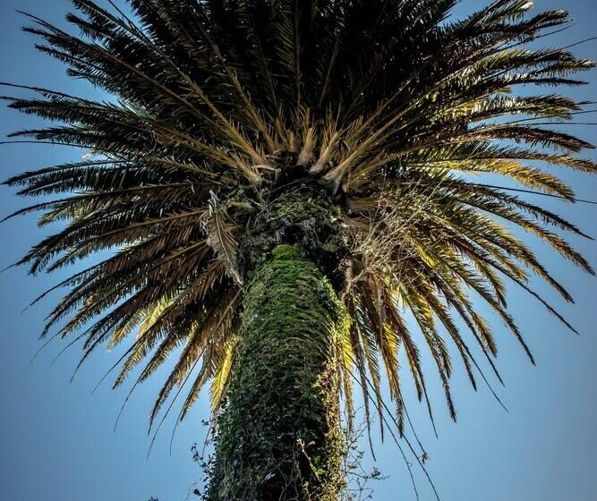 Хостел Casona Alemana