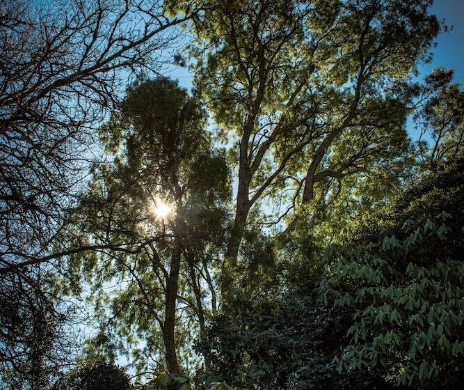 Хостел Casona Alemana