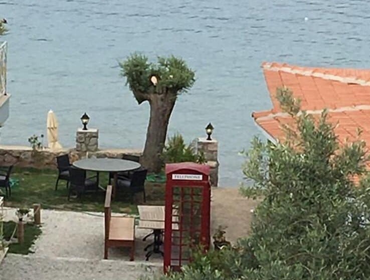 בית מלון כפרי Adasu Pansiyon