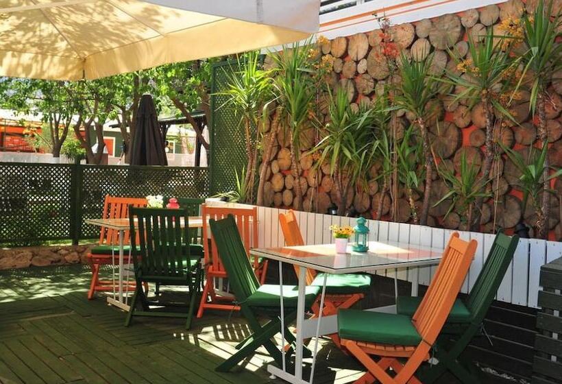 בית מלון כפרי Adasu Pansiyon