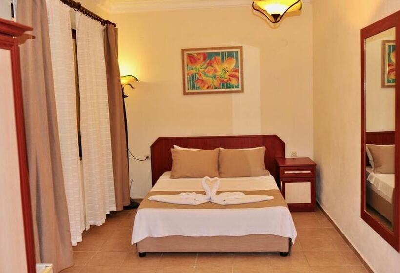 בית מלון כפרי Adasu Pansiyon