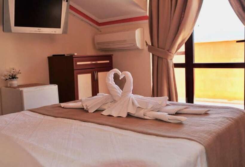 בית מלון כפרי Adasu Pansiyon