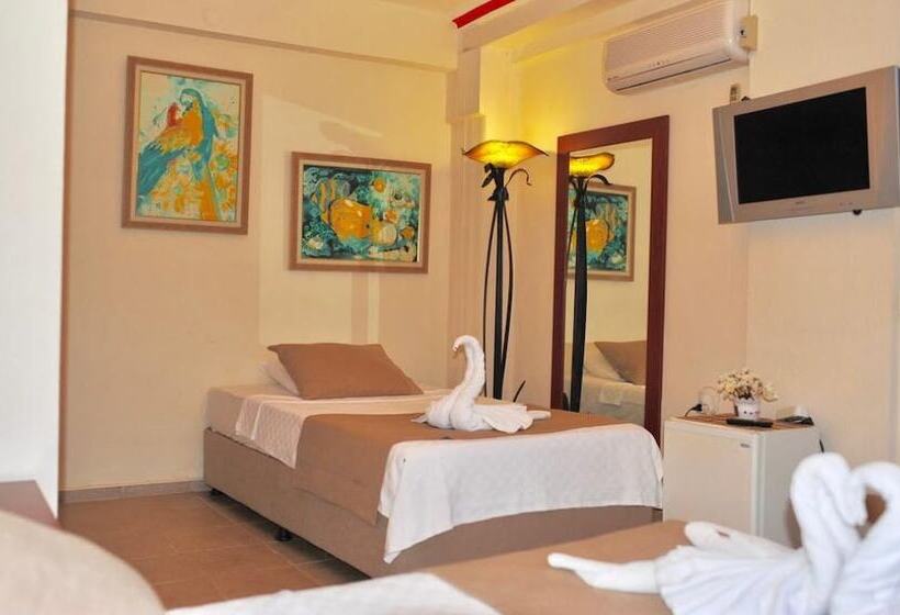 בית מלון כפרי Adasu Pansiyon