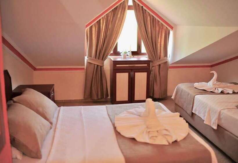 בית מלון כפרי Adasu Pansiyon