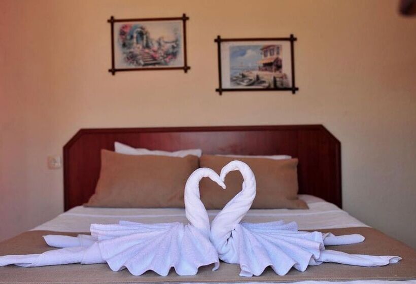 בית מלון כפרי Adasu Pansiyon