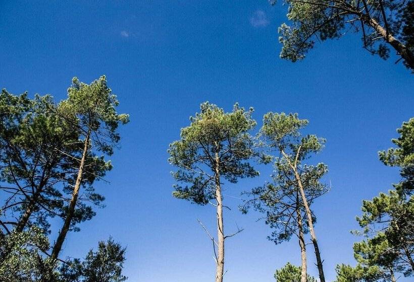 هتل روستایی Lo Rey Du Lac