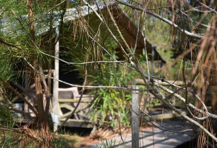 هتل روستایی Lo Rey Du Lac