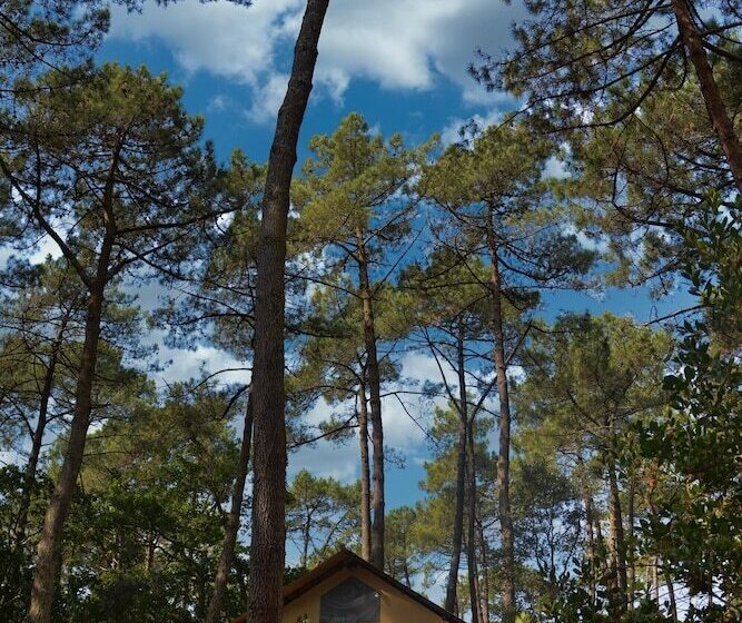 هتل روستایی Lo Rey Du Lac