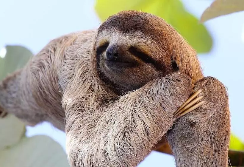 هتل Sunrise Of Tambopata