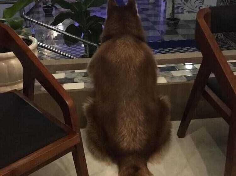 Hotel Xuan Mai Villa