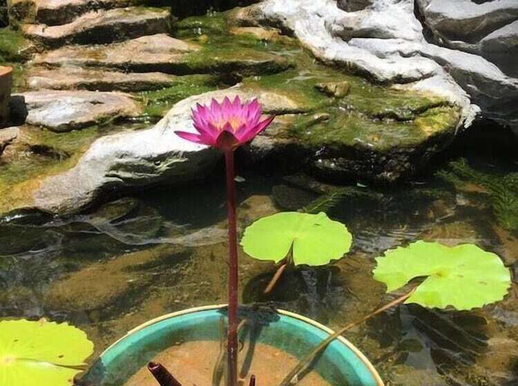 Hotel Xuan Mai Villa