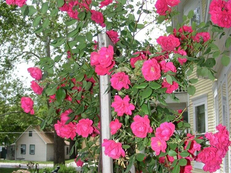 Oft S Bed And Breakfast