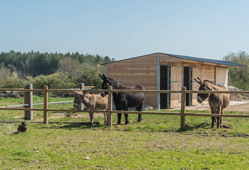 Pensiune La Grange De Léonie