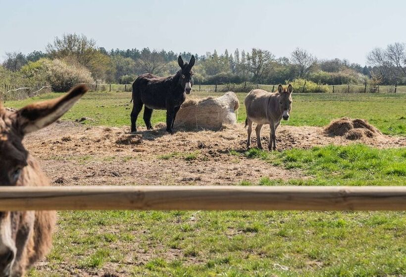 Pensiune La Grange De Léonie