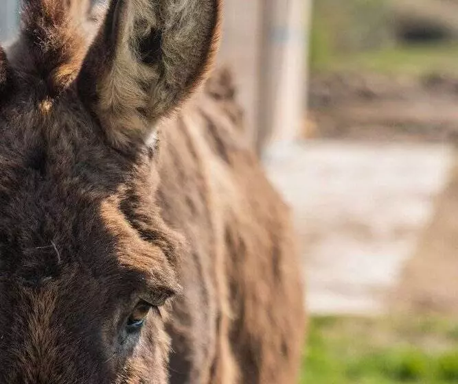 ペンション La Grange De Léonie
