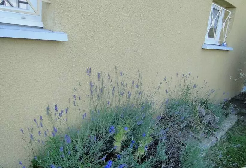 Majatalo La Maison Provençale