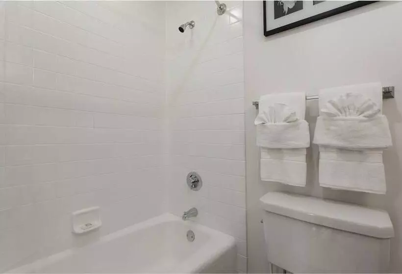 Amazing Atlanta Furnished Apartments