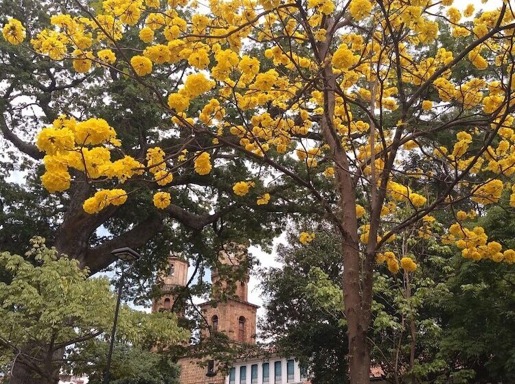 민박 San Gil Casa Colonial