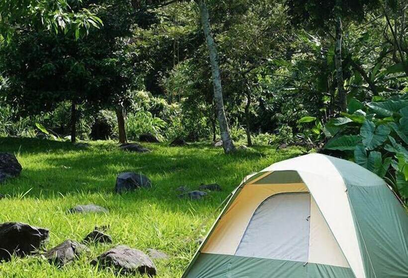 Glamping Furesa Experience   Hostel