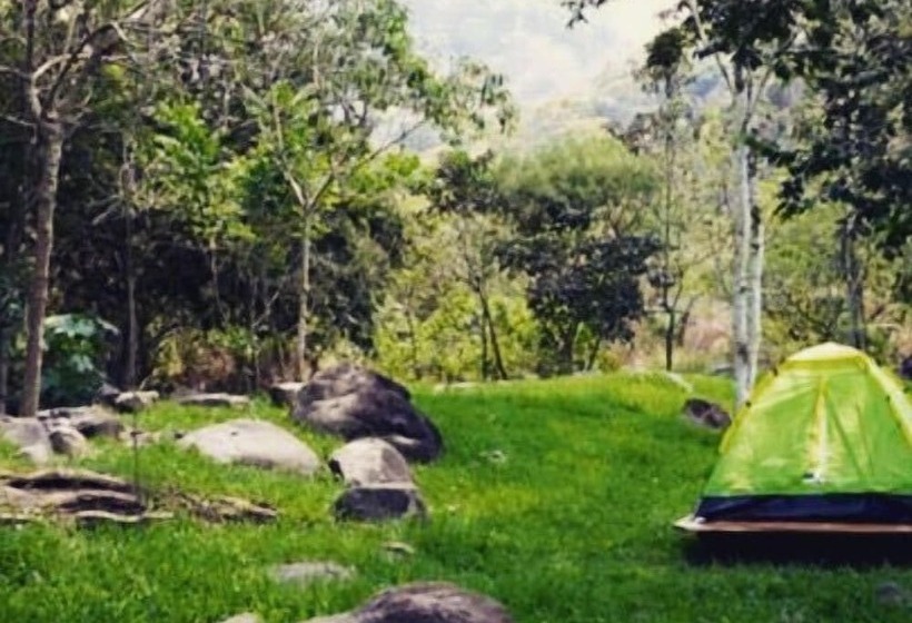 Glamping Furesa Experience   Hostel