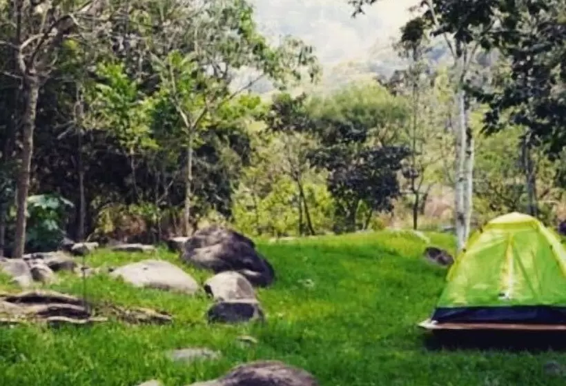 Glamping Furesa Experience   Hostel