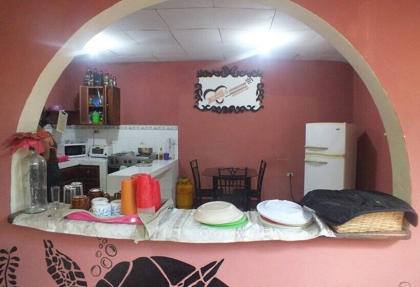 Hostal Flamenco S   Hostel