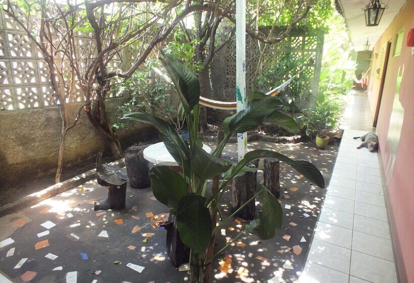 Hostal Flamenco S   Hostel