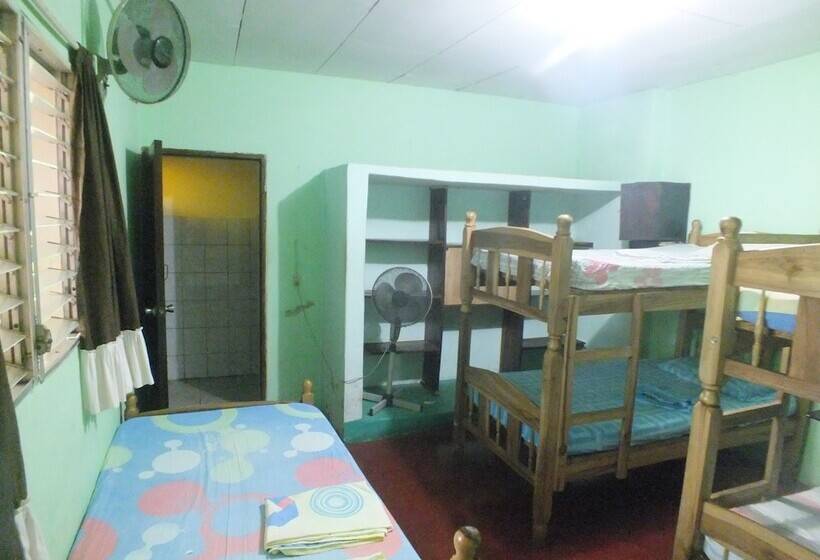 Hostal Flamenco S   Hostel