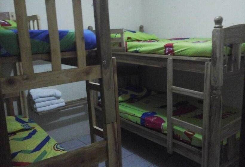 Hostal Flamenco S   Hostel