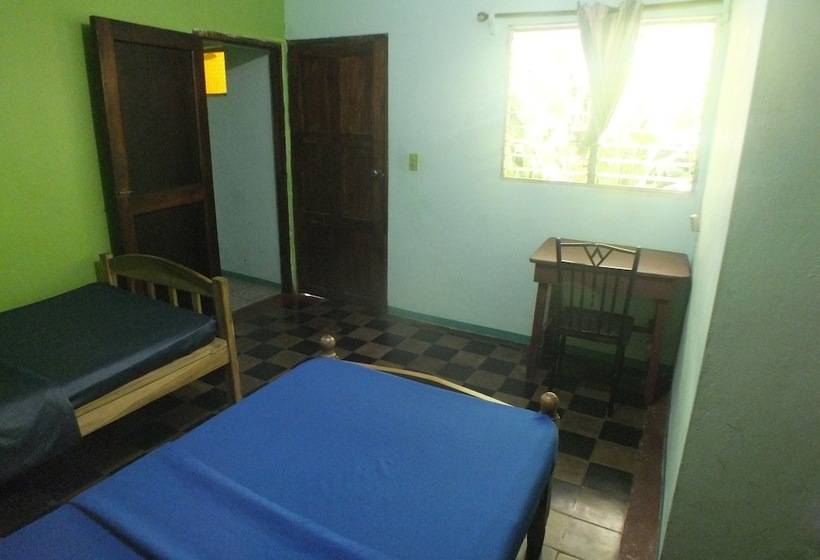 Hostal Flamenco S   Hostel