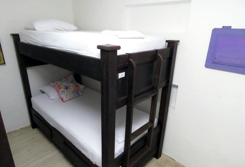 Hostal Pajara Pinta Hostel