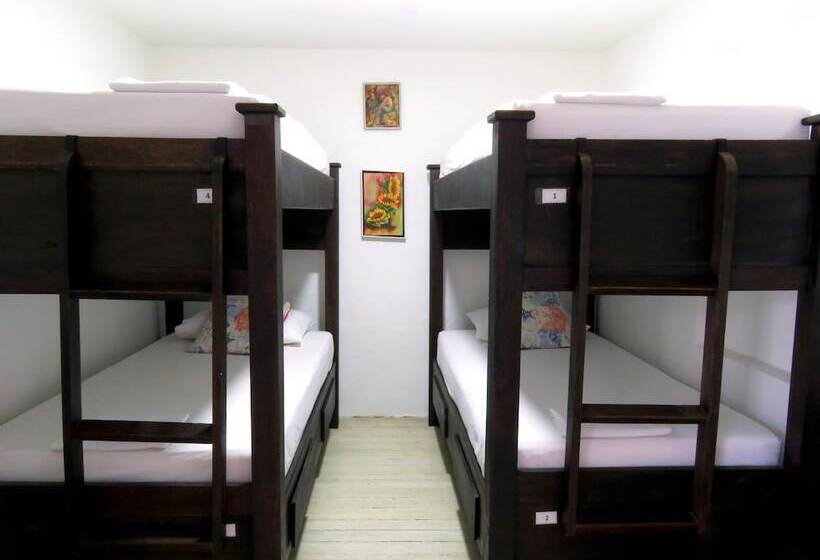 Hostal Pajara Pinta Hostel