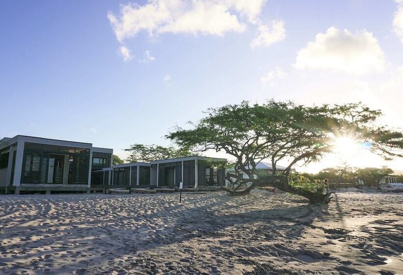 هتل 99 Surf Lodge