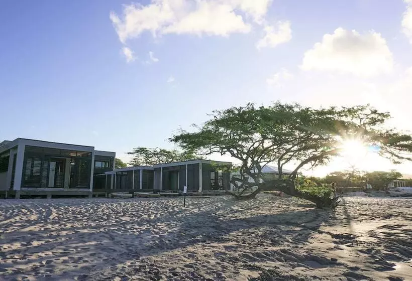 Hotelli 99 Surf Lodge