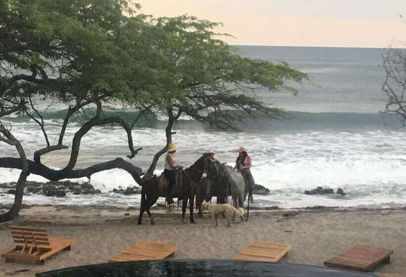 هتل 99 Surf Lodge