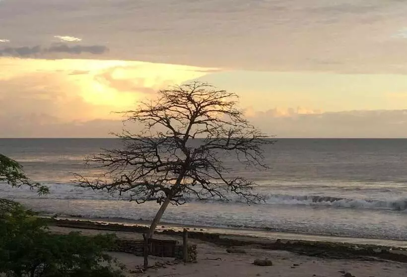 Hotelli 99 Surf Lodge