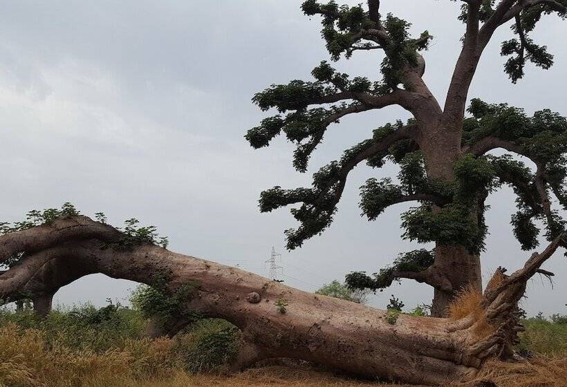 هتل Baobab Soleil