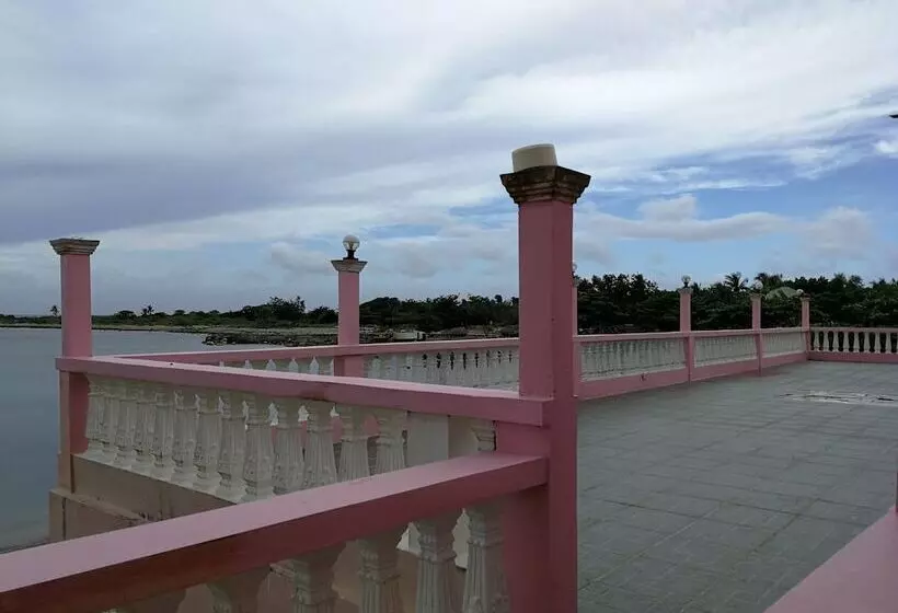 ホテル Beachview Pink Lodge