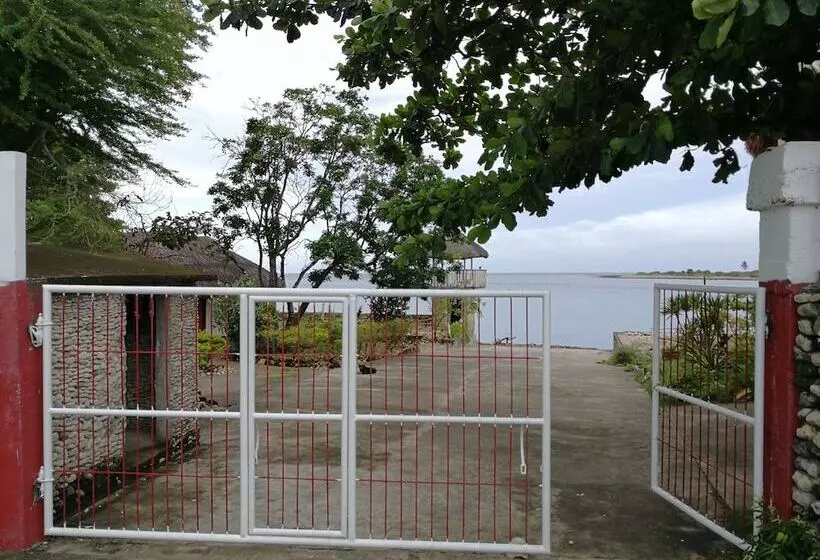 ホテル Beachview Pink Lodge