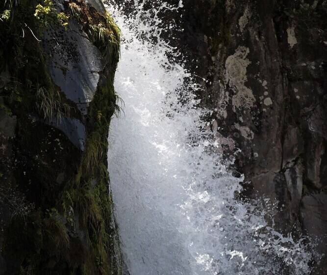 호텔 Dawson Falls Mountain Lodge