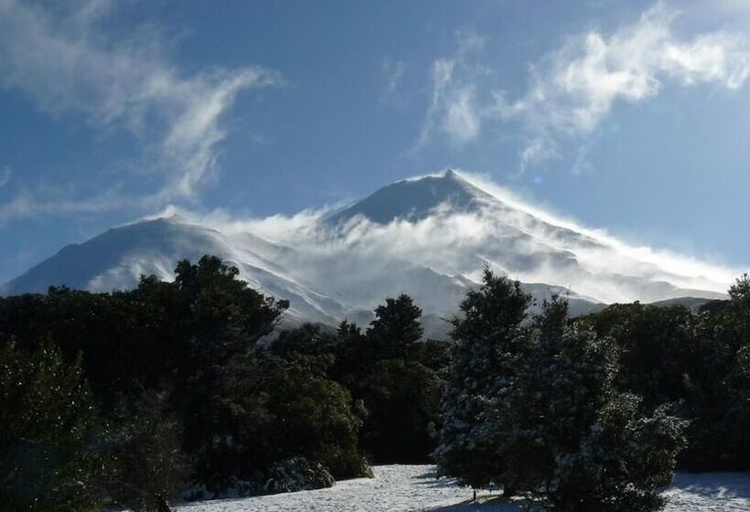 호텔 Dawson Falls Mountain Lodge