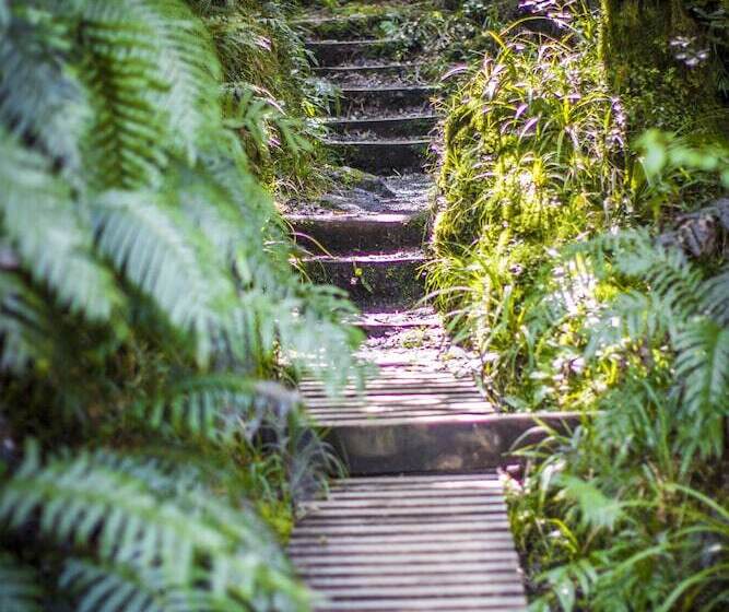 호텔 Dawson Falls Mountain Lodge