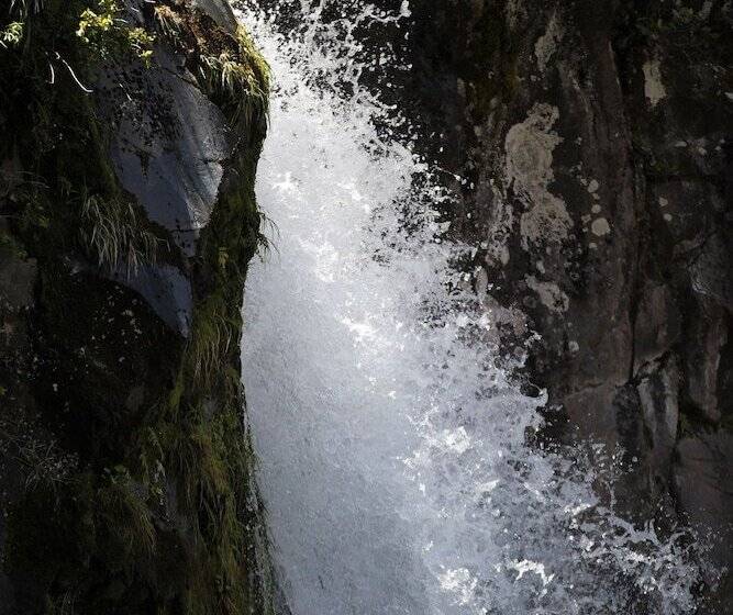 호텔 Dawson Falls Mountain Lodge