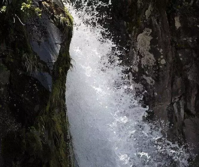 Hotelli Dawson Falls Mountain Lodge