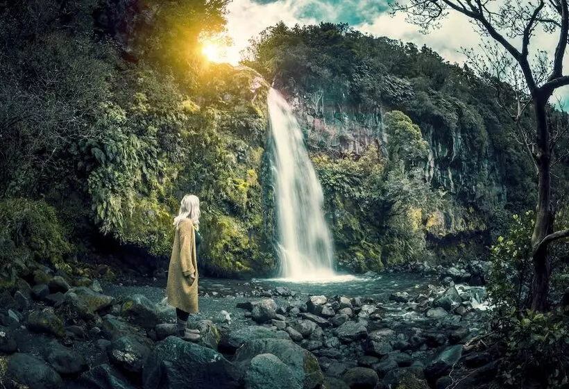 Hotelli Dawson Falls Mountain Lodge